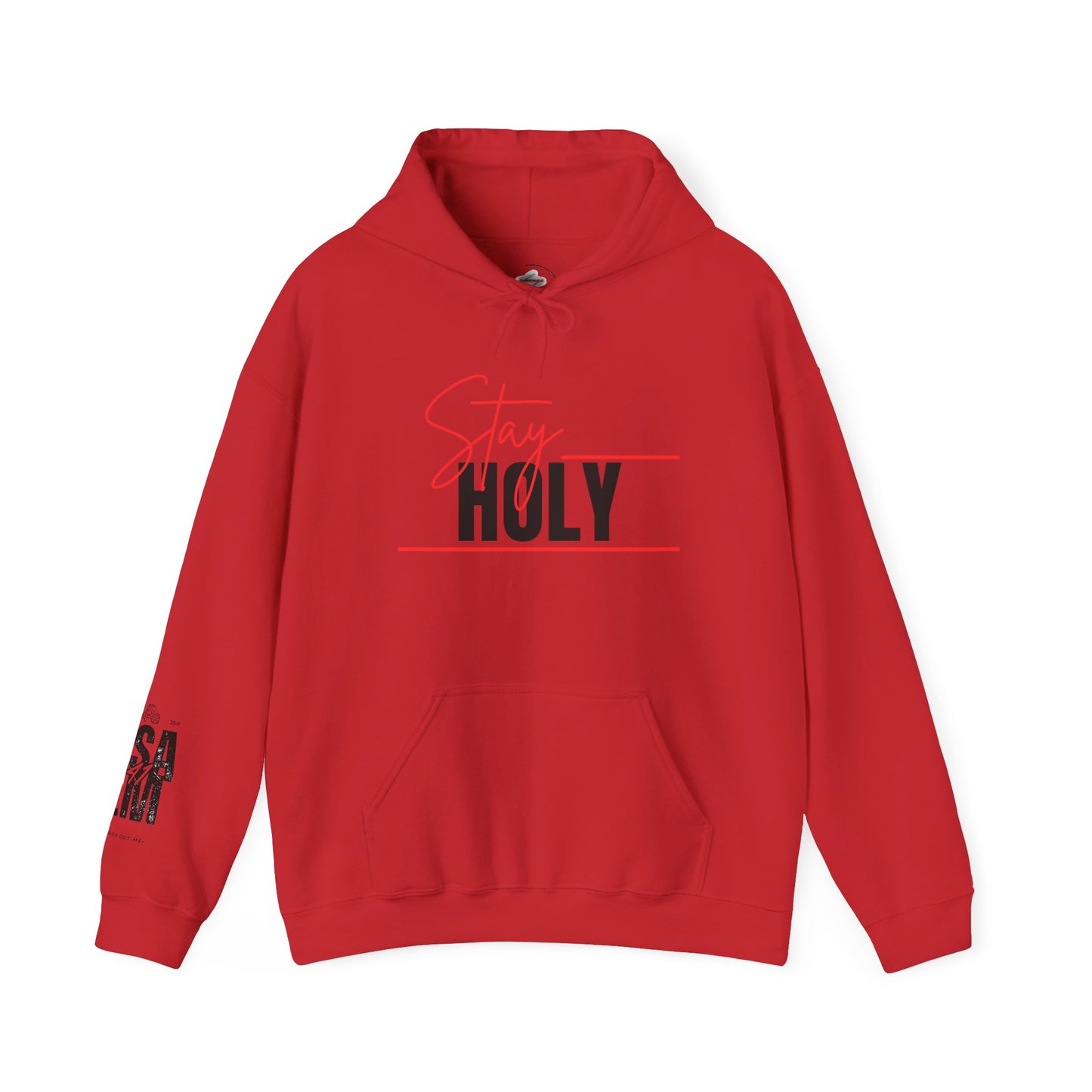 Stay Holy Unisex Hooded Sweatshirt, Cozy Sweatshirt, Faith Apparel, Casual Streetwear, Inspirational Gift, Perfect for Everyday Wear