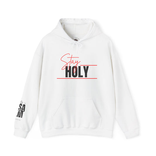 Stay Holy Unisex Hooded Sweatshirt, Cozy Sweatshirt, Faith Apparel, Casual Streetwear, Inspirational Gift, Perfect for Everyday Wear
